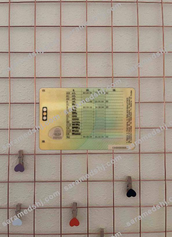 United Kingdom provisional driving license photolook BACK